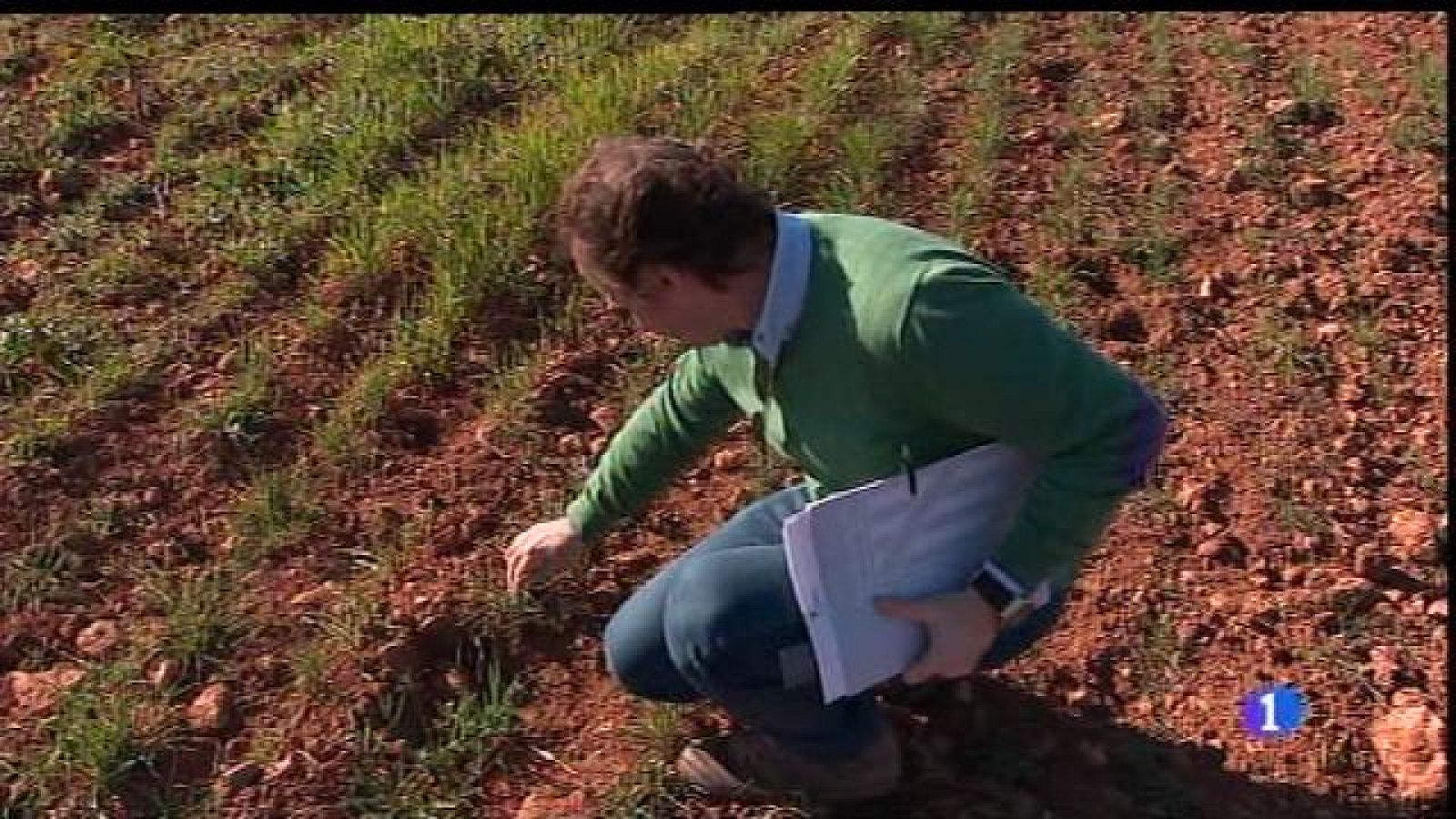 Tècnics sobre el terreny per la sequera