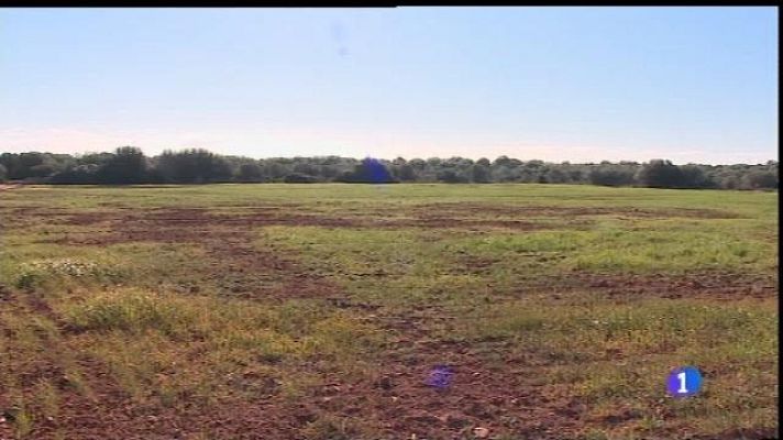 Informatiu Balear - La compra del farratge serà subvencionada