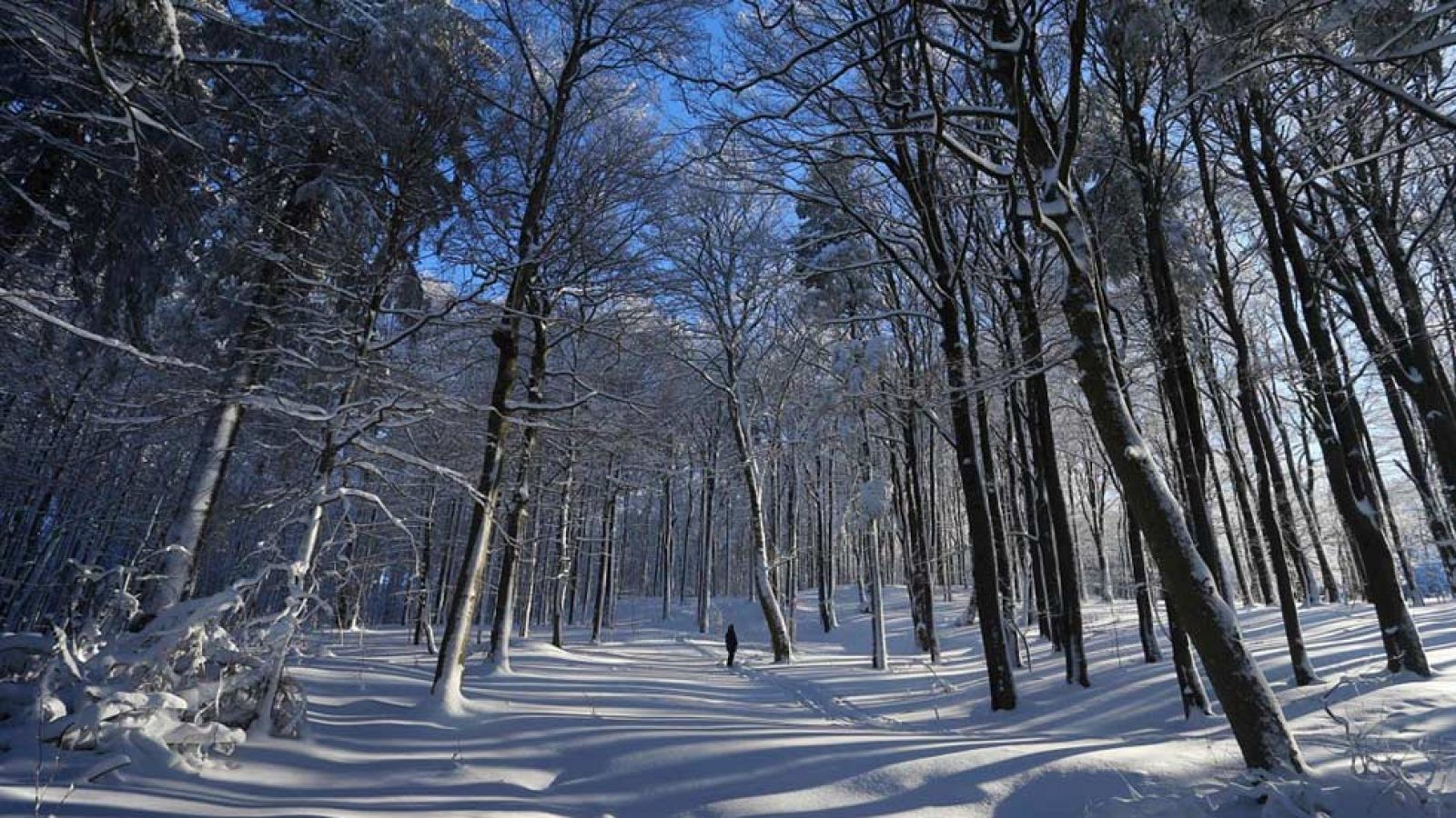 Nuboso con alguna lluvia dispersa en el noroeste
