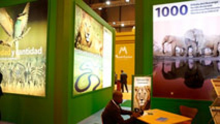 Telediario 1 - Viajeros profesionales en FITUR