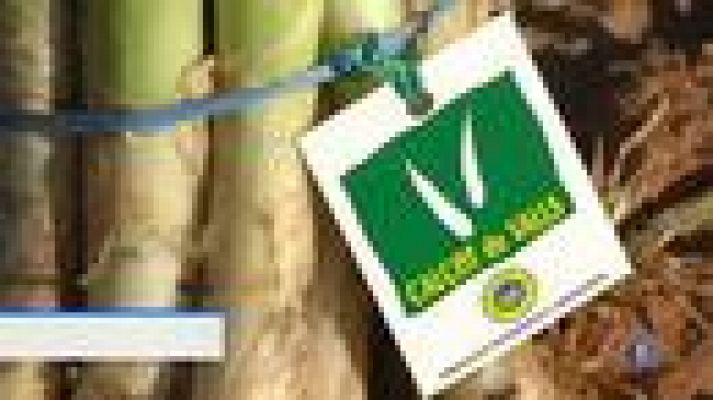 L'Informatiu - La venda de calçots per internet augmenta un 25% en un any