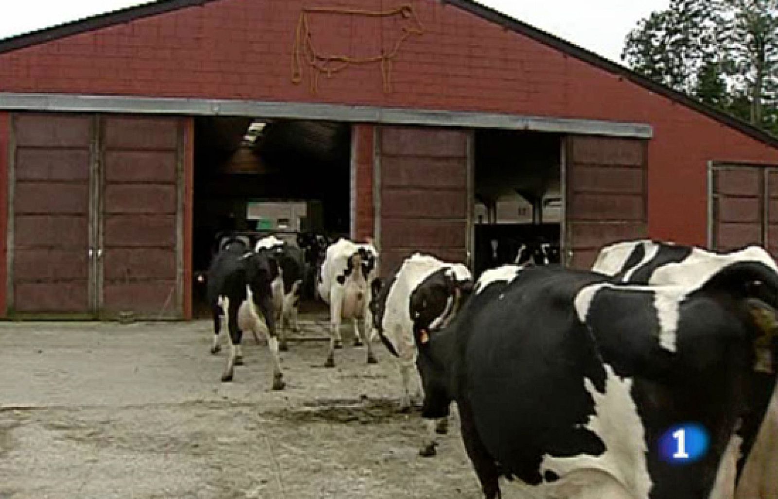 Se reducen las ayudas directas a los agricultores | Ver