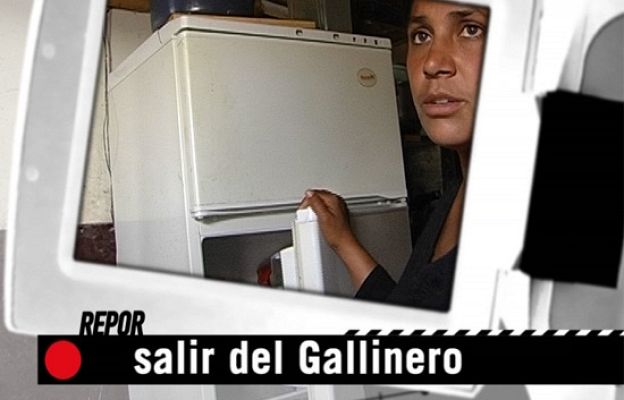 Repor - Avance - Salir del Gallinero