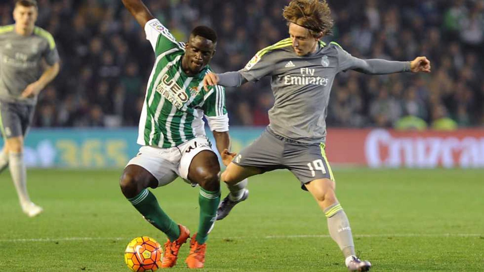 Estadio 1 - 24/01/16 - Ver ahora