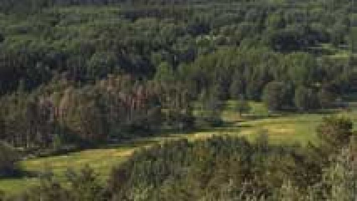 Informativo de Madrid - El Tiempo en la Comunidad de Madrid - 26/01/16