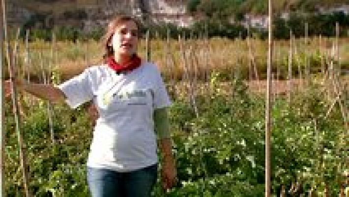 La aventura del Saber - La aventura del saber - 27/01/16