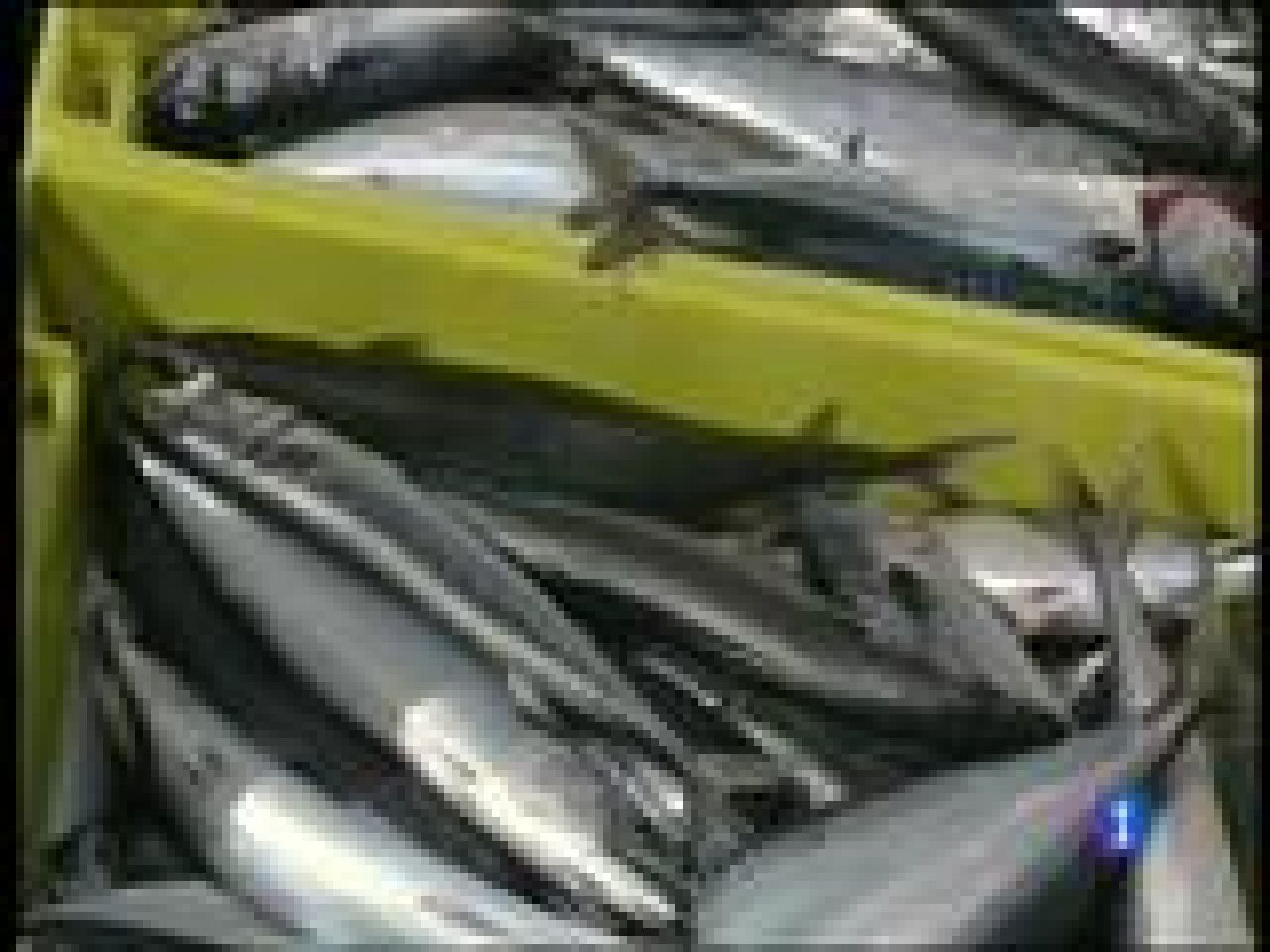 Asturias en 2' - 27/01/16 | Ver