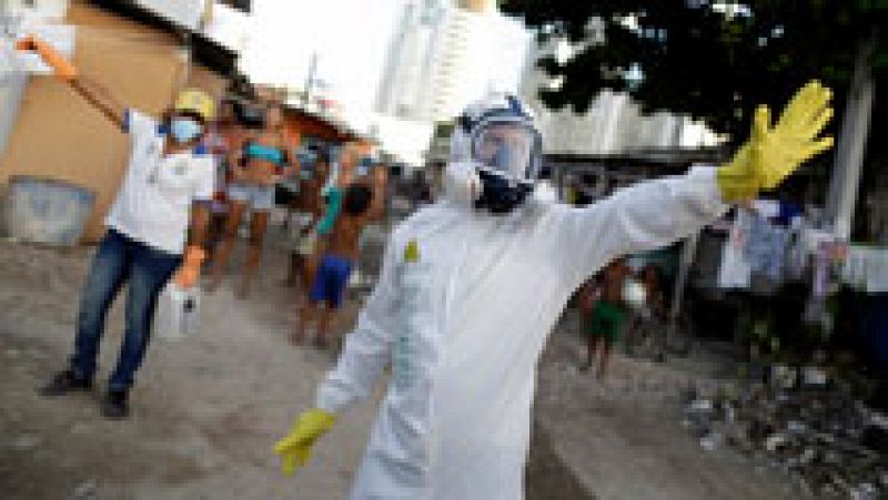 Brasil declara la guerra al zika: 220.000 soldados contra el mosquito transmisor del virus 