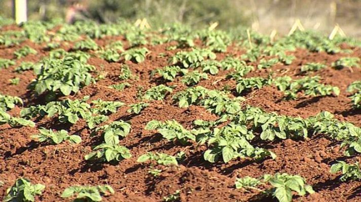 Telecanarias - Canarias en 2' - 27/01/2016