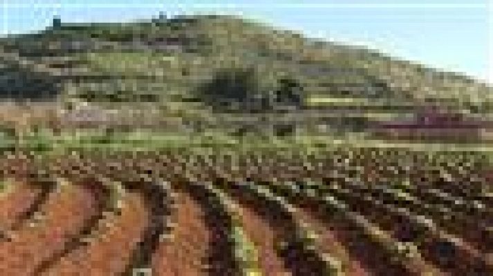 Telecanarias - Telecanarias - 27/01/2016