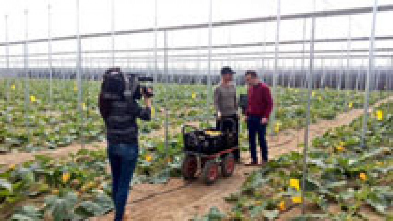 El Ejido, un mar de plástico