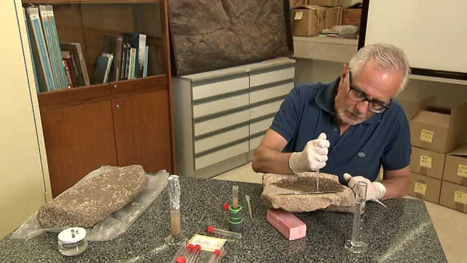 La aventura del saber - 28/01/16 - Ver ahora