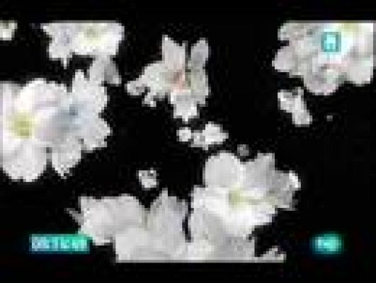  - El jardín de los sueños