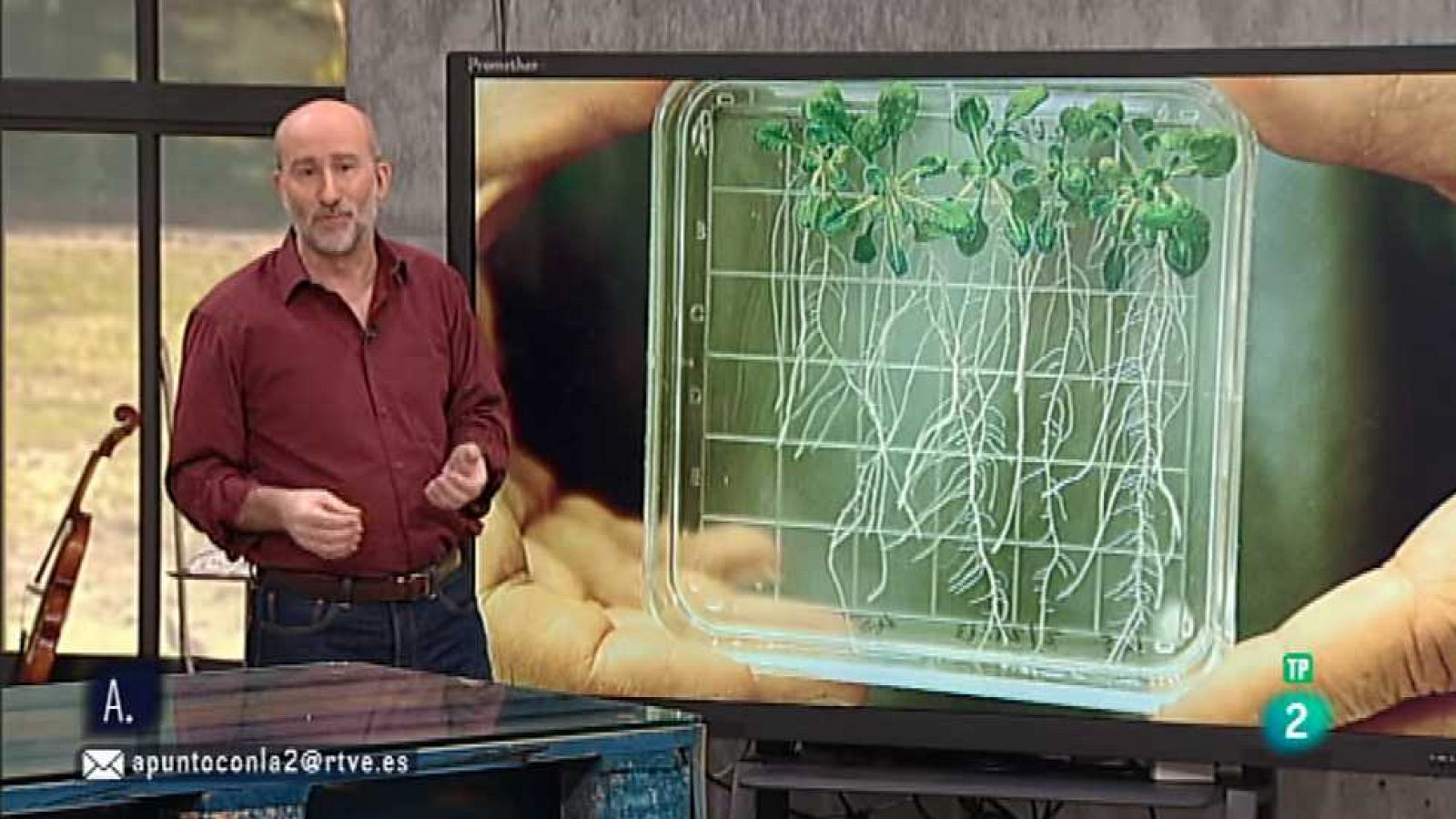 A punto con La 2 - 28/01/16 - Ver ahora