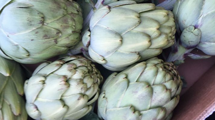 Aquí la Tierra - Alcachofas, las reinas de Benicarló