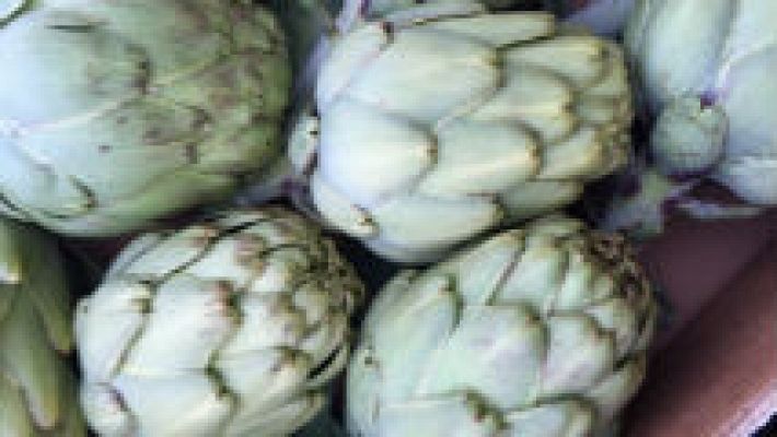 Aquí la Tierra - Alcachofas, las reinas de Benicarló