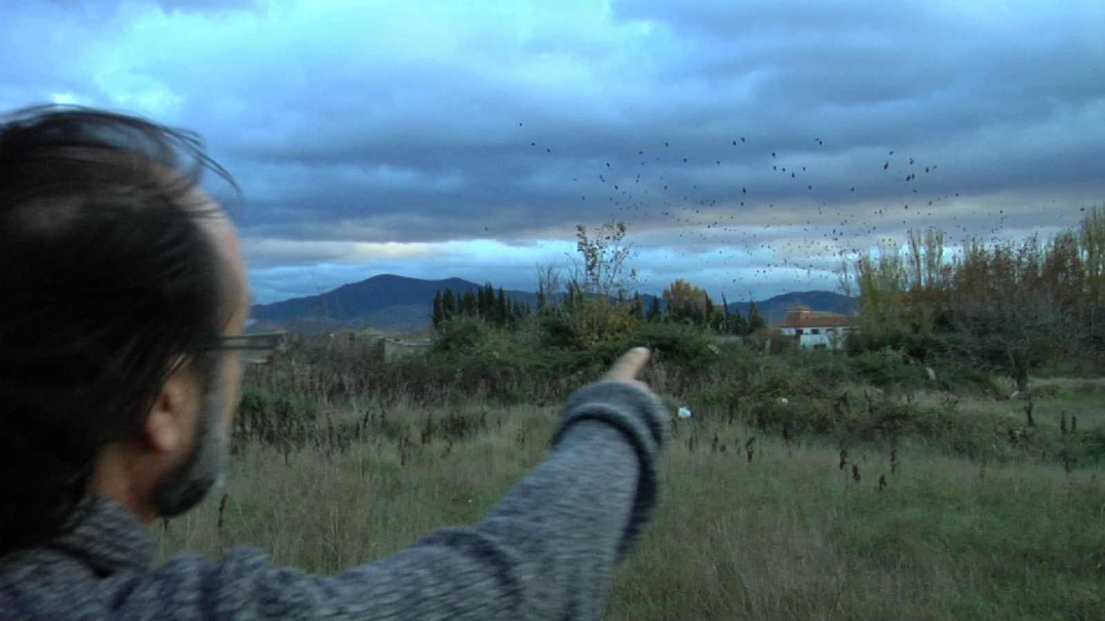 Luismi y el espectáculo de las grajillas