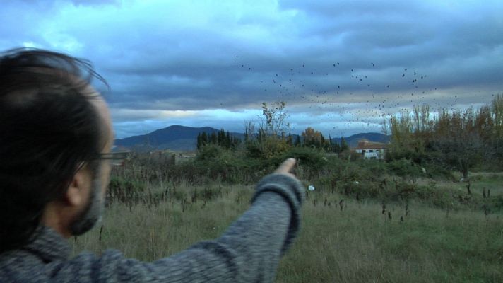 Aquí la Tierra - Luismi y el espectáculo de las grajillas