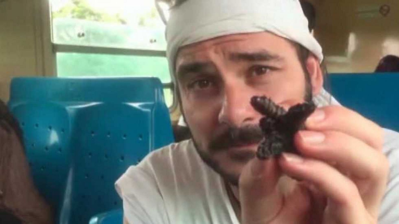 Cámara abierta 2.0 - TravelZungu.com, Zahara y Birratour - Ver ahora