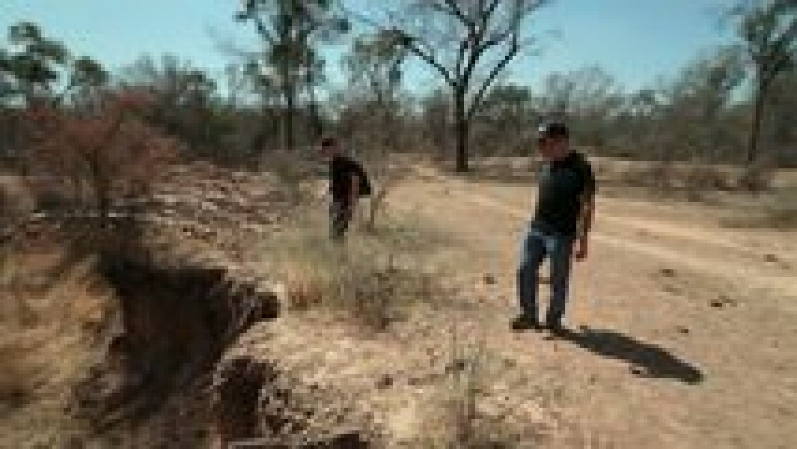 Sin programa: Meteoritos | RTVE Play