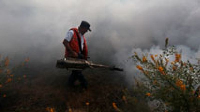 La prevención, única arma para luchar contra el virus del Zika