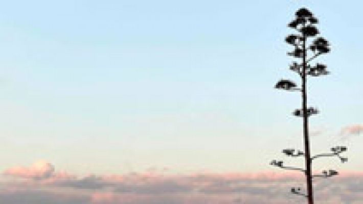 El tiempo - Nieblas persistentes en el interior de la Península