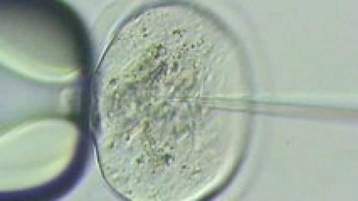 Reino Unido autoriza a un grupo de científicos la modificación genética de embriones humanos 
