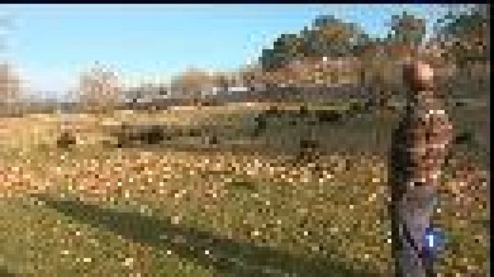 Informatiu Balear - La sequera posa en perill les explotacions ramaderes