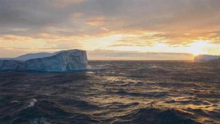 Teleplaneta - Teleplaneta - 01/02/2016