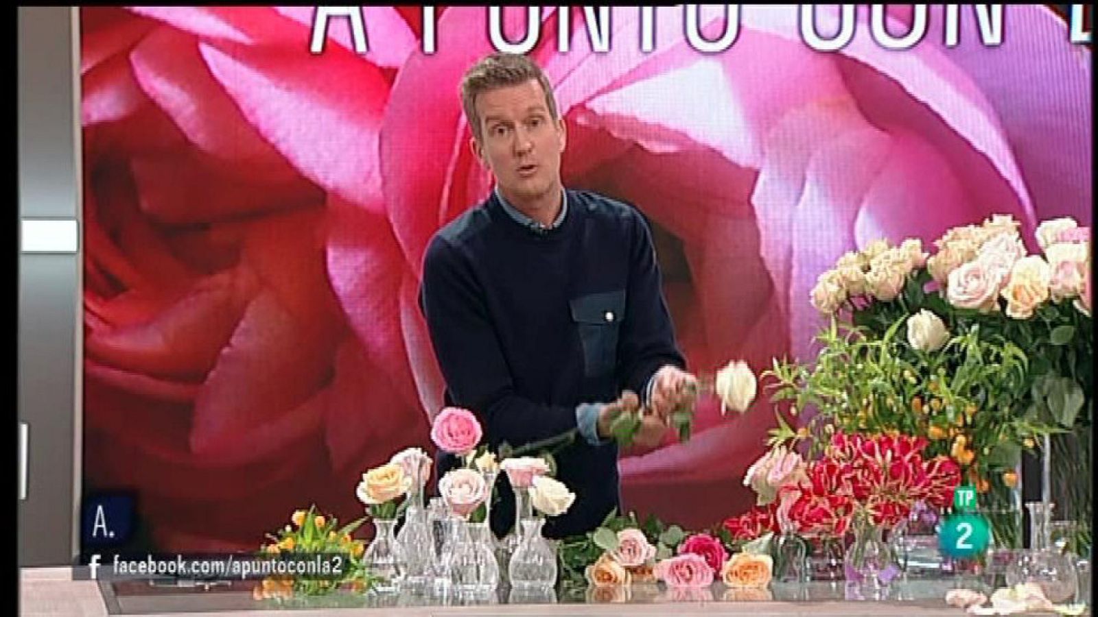 A punto con La 2 - La casa a punto: Flores de interior y viveros de temporada