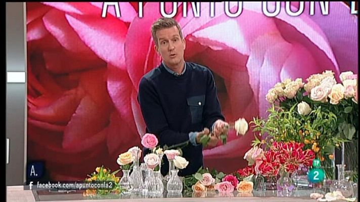 A punto con La 2 - Flores de interior y viveros de temporada