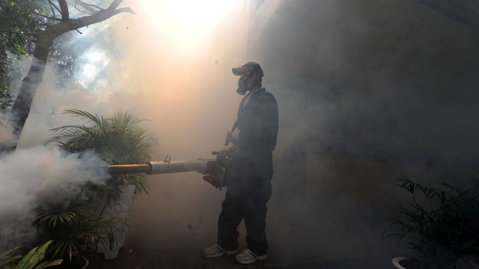 La OMS crea una unidad para coordinar todas las acciones contra el Zika