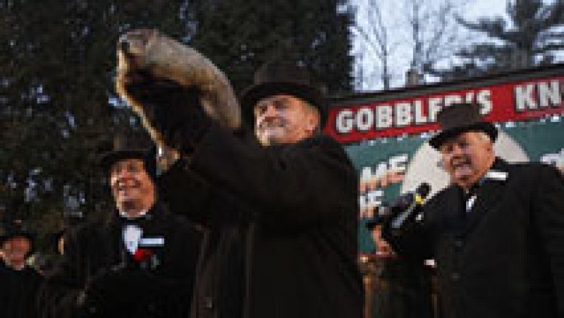 La marmota 'Phil' pronostica el adelanto de la primavera en 'El día de la marmota' de Filadelfia