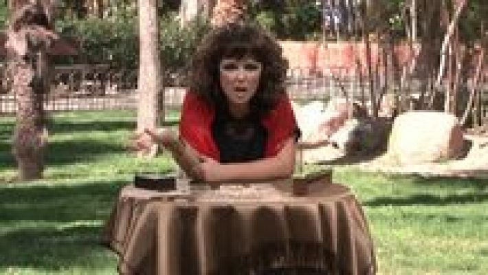 TVE English - Capítulo 113