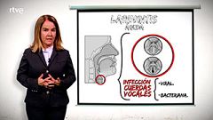 Esto es vida- Esto es vida- Recomendaciones para cuando estás afónico