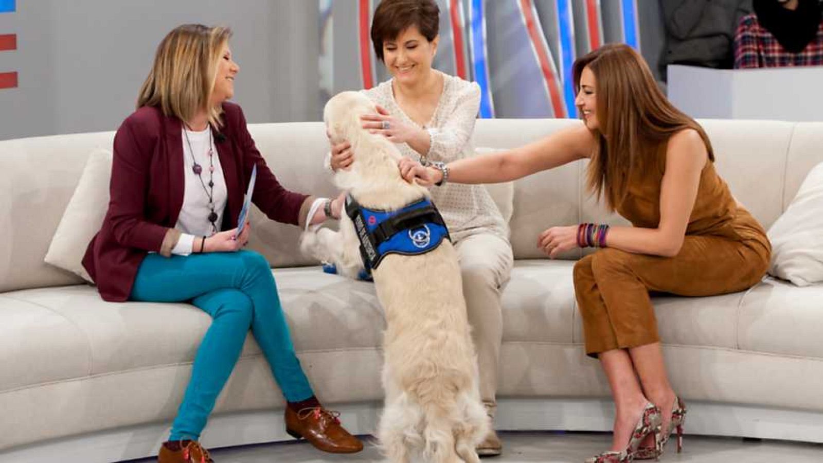 La Mañana  - 03/02/16 - ver ahora