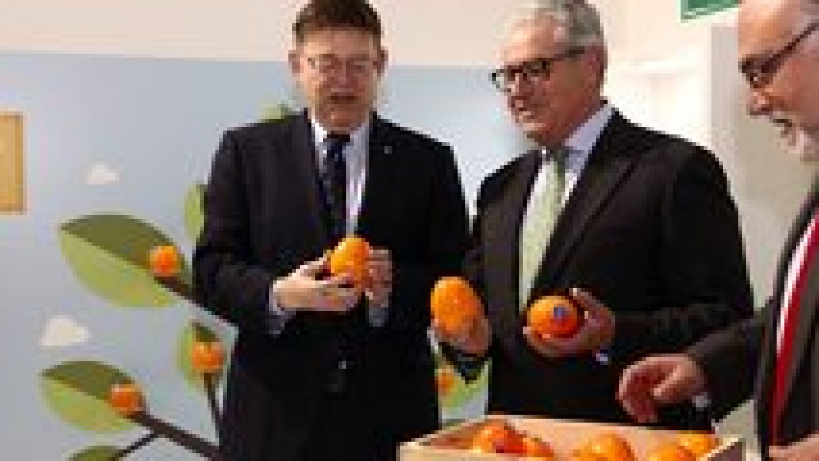 L'Informatiu - Comunitat Valenciana 2 - 03/02/16 - ver ahora