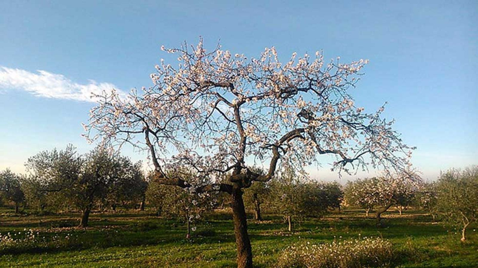 El Tiempo en la Comunidad de Madrid - 04/02/16