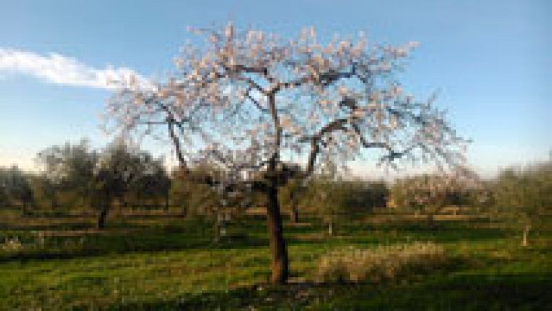 Viento fuerte en el Estrecho y suben algo las temperaturas