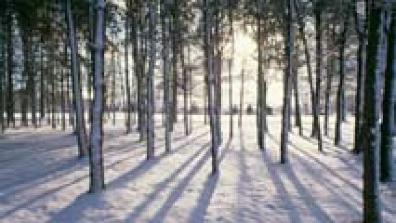 Ascenso de temperaturas y viento fuerte en el Estrecho