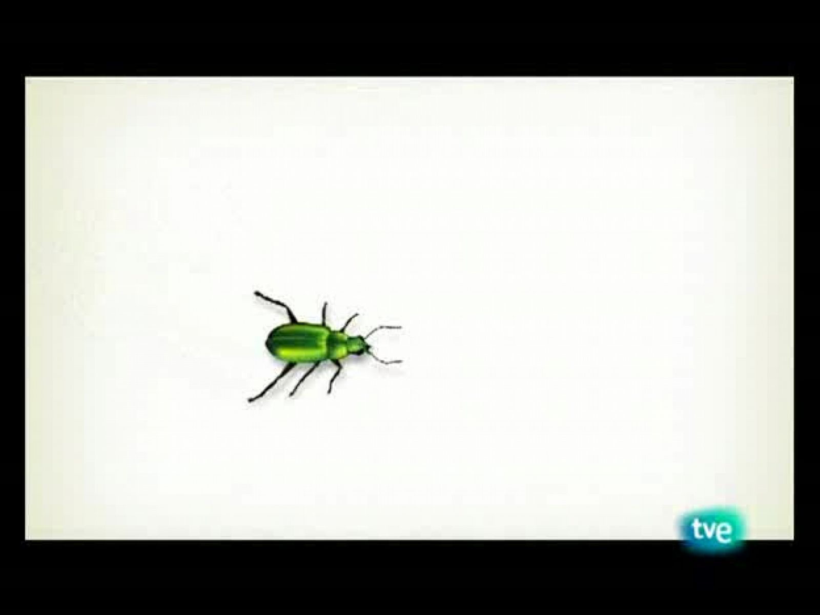 El escarabajo verde - ¡Quiero ser mono!
