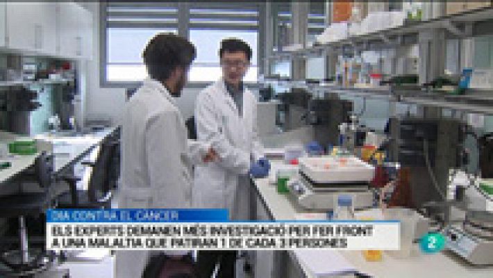 L'Informatiu - Vespre a La 2 - Informatiu - 04/02/2016