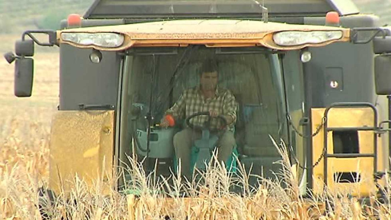 Agrosfera - 06/02/16 - ver ahora