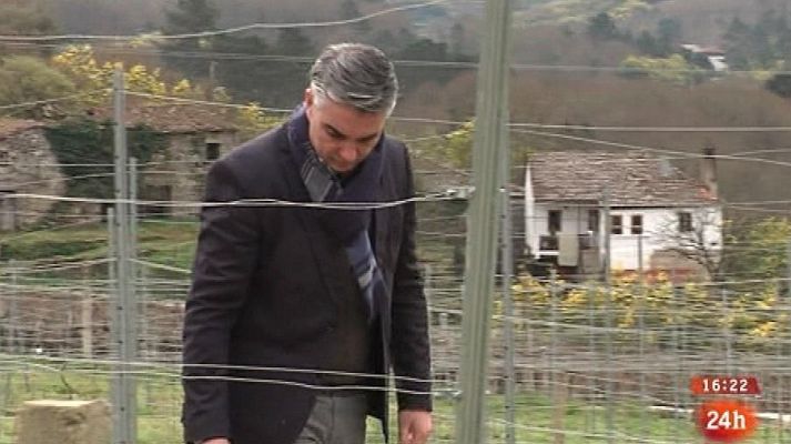 Parlamento - Miguel Ángel Viso (PP)