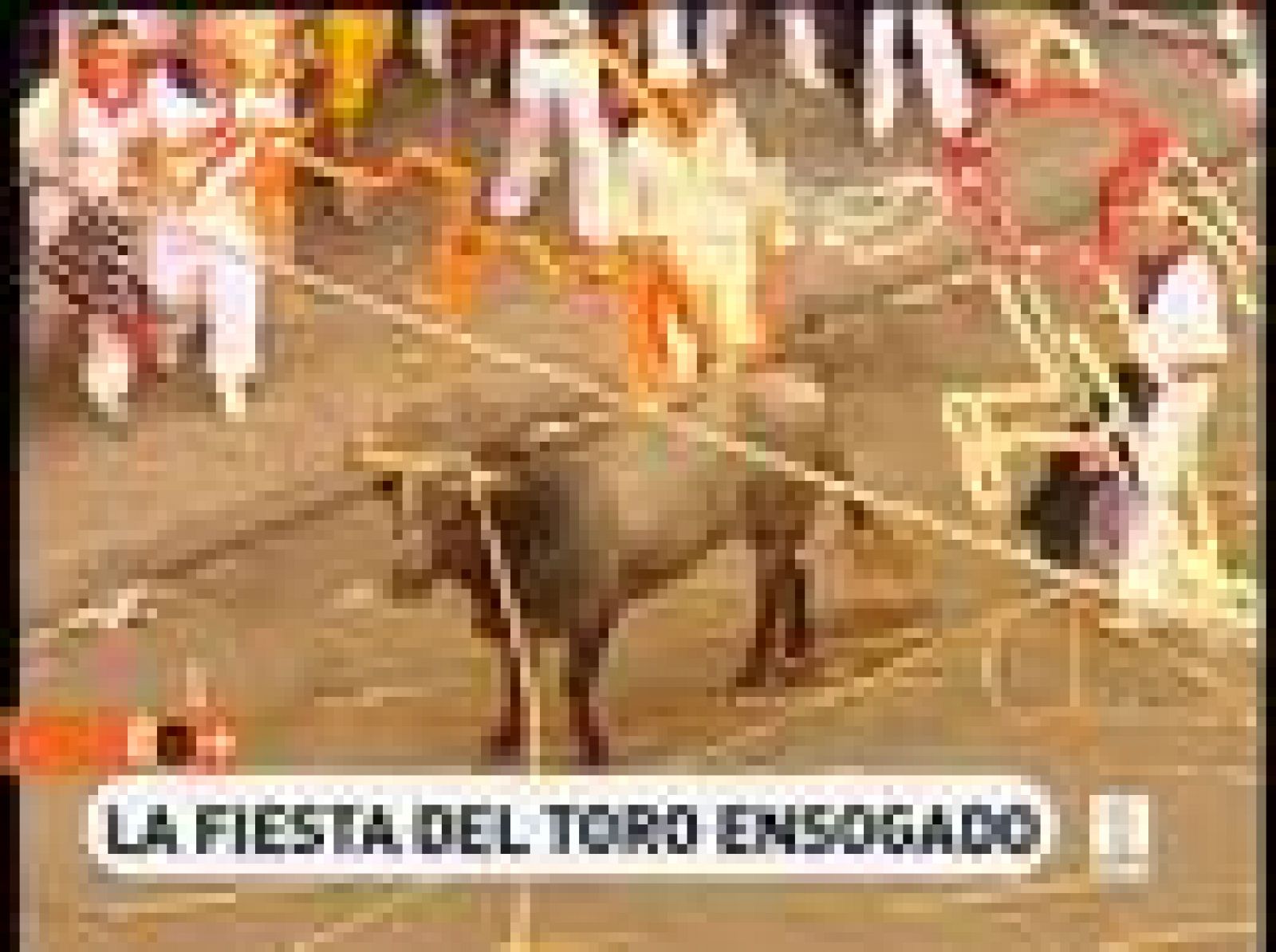 España Directo: La fiesta del toro ensogado | RTVE Play