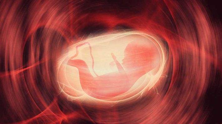 Documenta2 - Mi futuro bebé: Avances en la fertilidad moderna