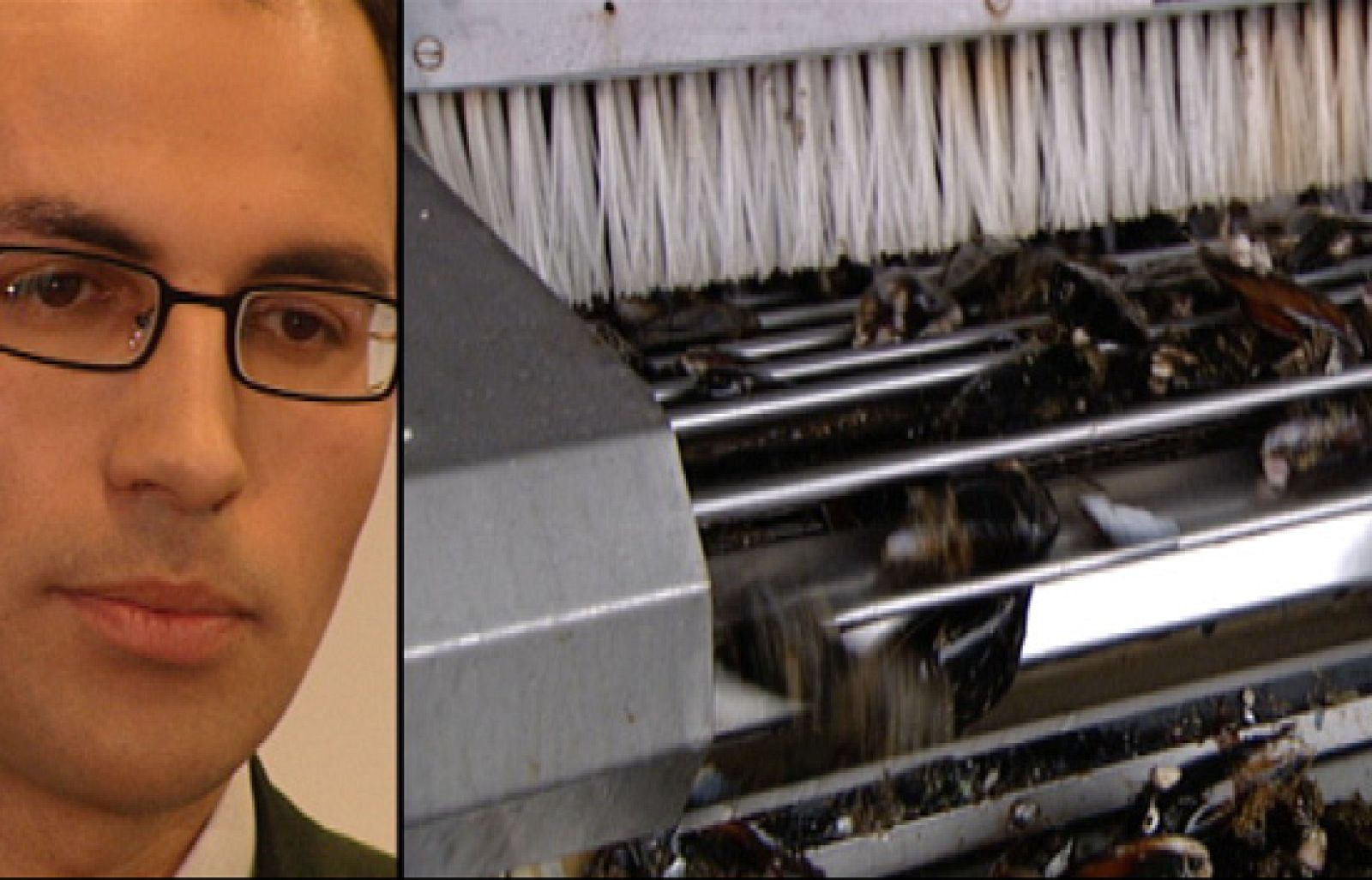 Fábrica de ideas - Invierte: Musselect | Ver