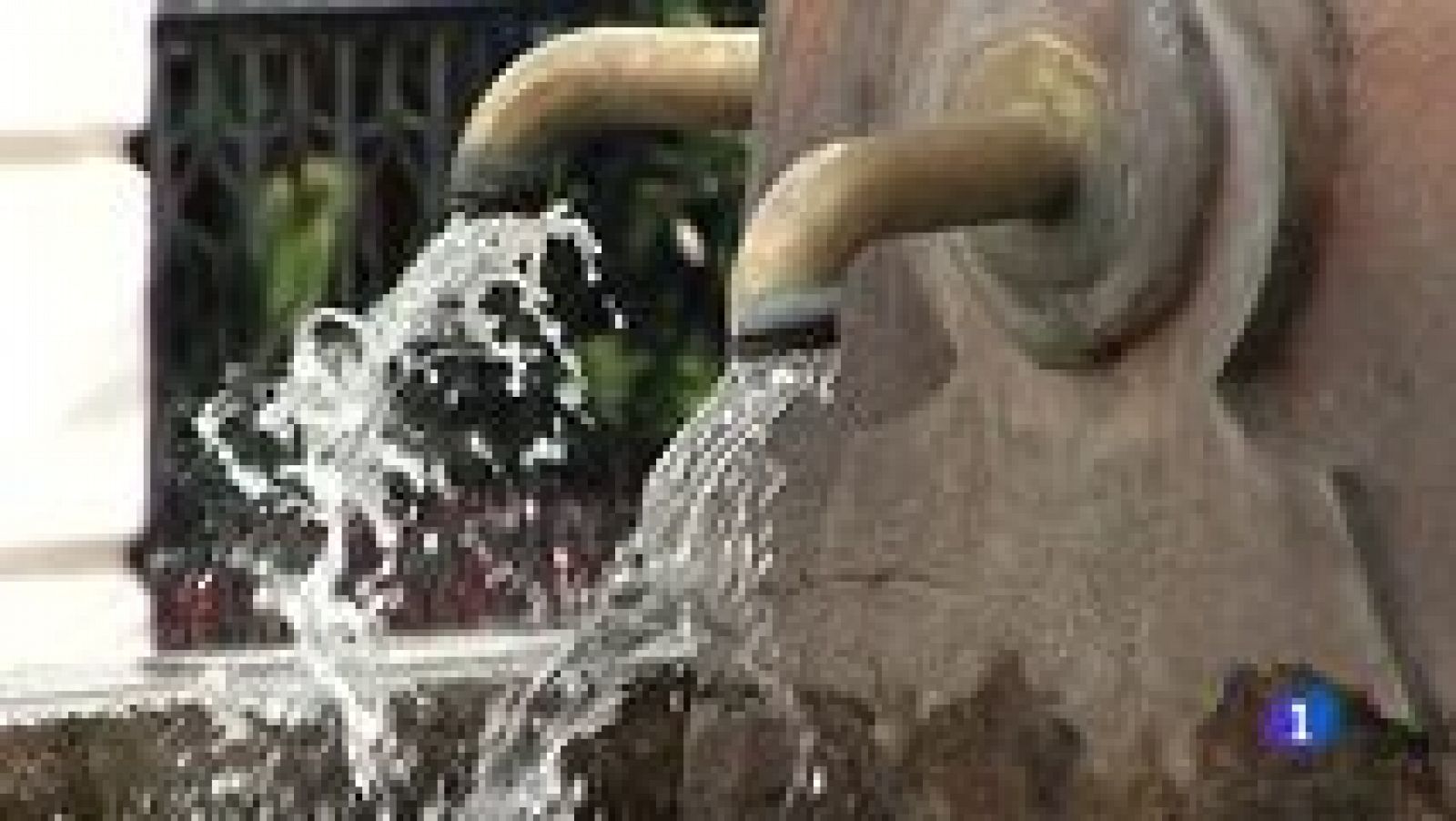 L'Informatiu - Comunitat Valenciana 2 - 09/02/16 - Ver ahora