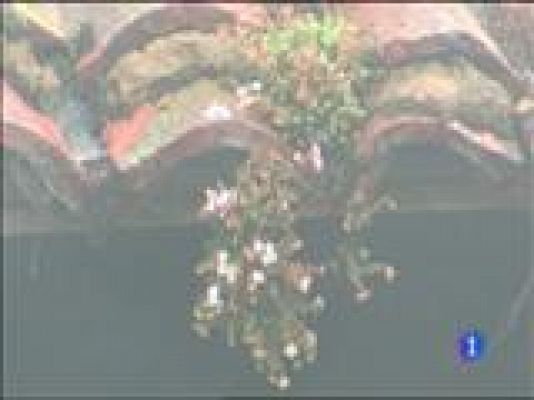 Panorama Regional - Panorama Regional 2 - 09/02/16