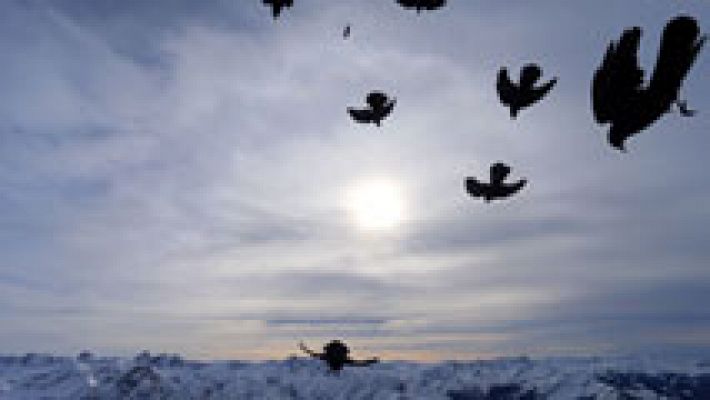 El tiempo - Descenso notable de las temperaturas en el noreste peninsular